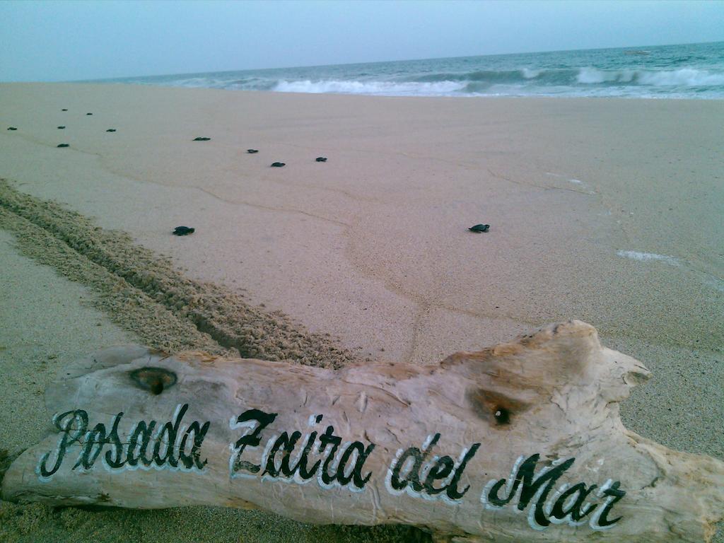 Posada Zaira Del Mar Coyuca Esterno foto